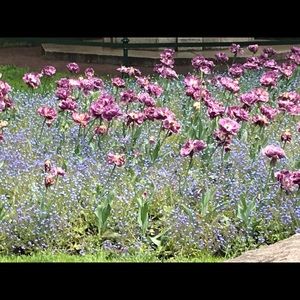 Meet your Posher, Camille